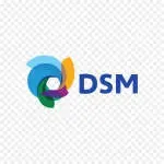 DSM company icon