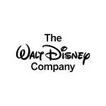 Desnet company icon