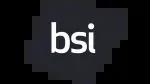 BSI company icon